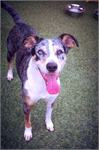daycare pic 34 - Pablo